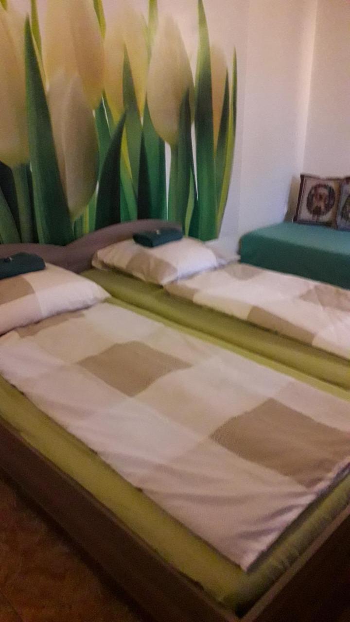 Tenisz Apartment Vecses Luaran gambar